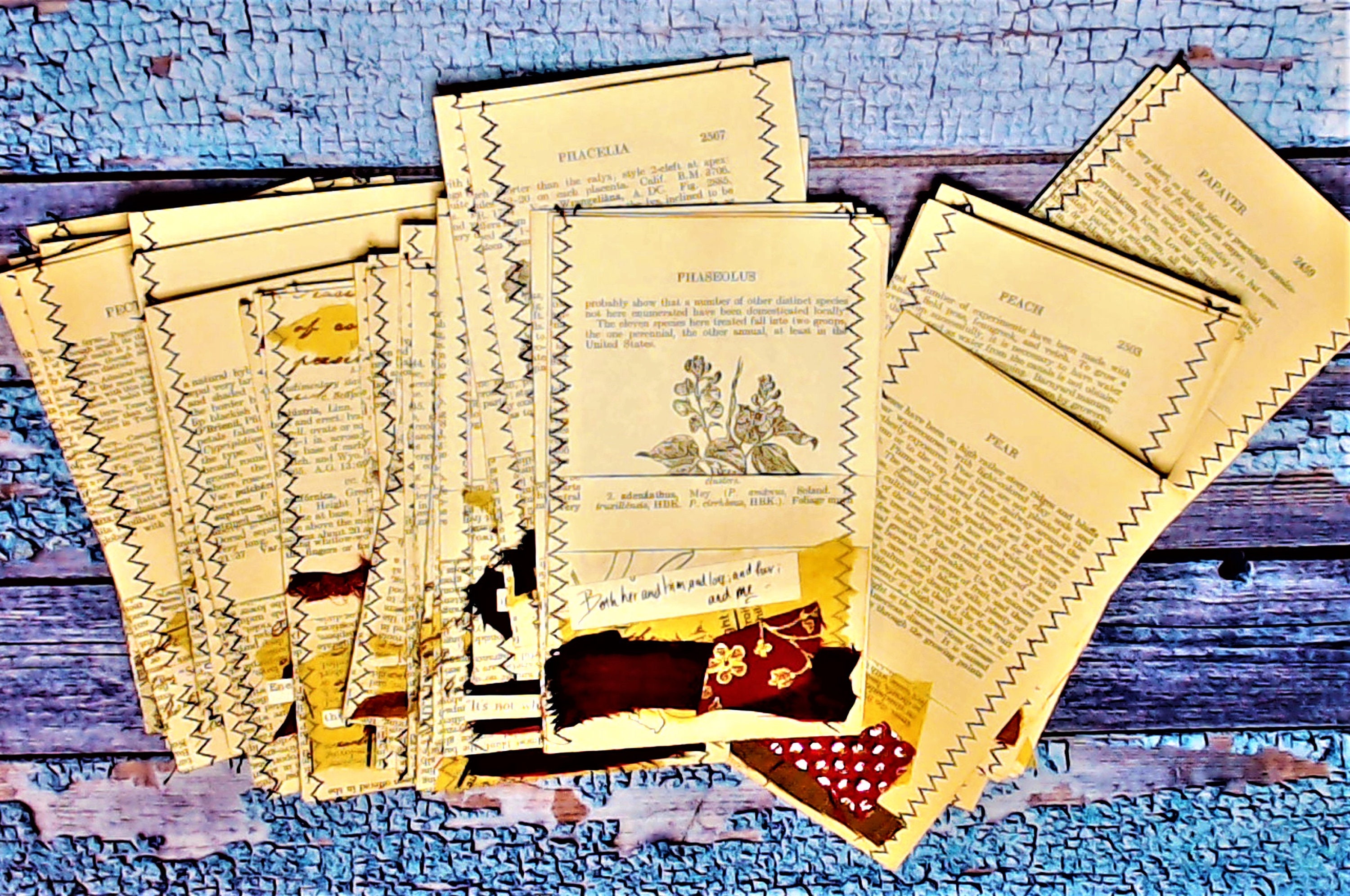 Products :: Library Pockets from Vintage Book Pages, Junk Journal