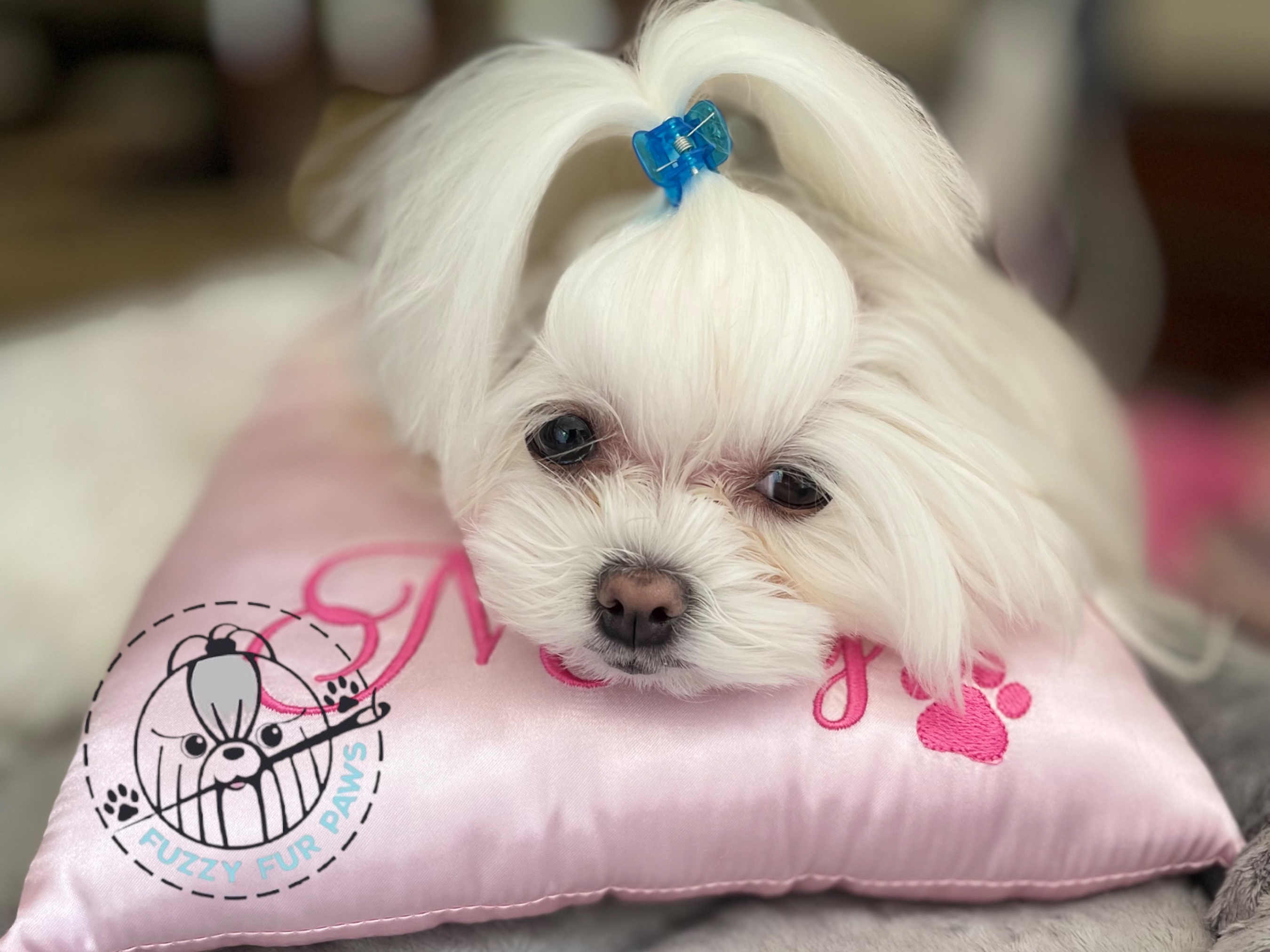 Satin Top Knot Dog Grooming Pillow
