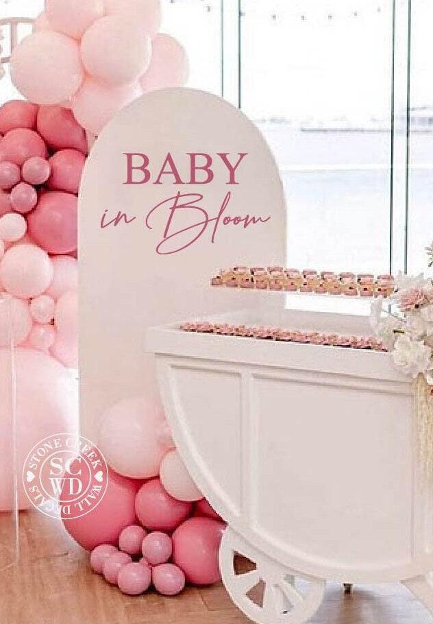 Hot Selling Baby Gender Reveal Party Event Decoration Baby Shower