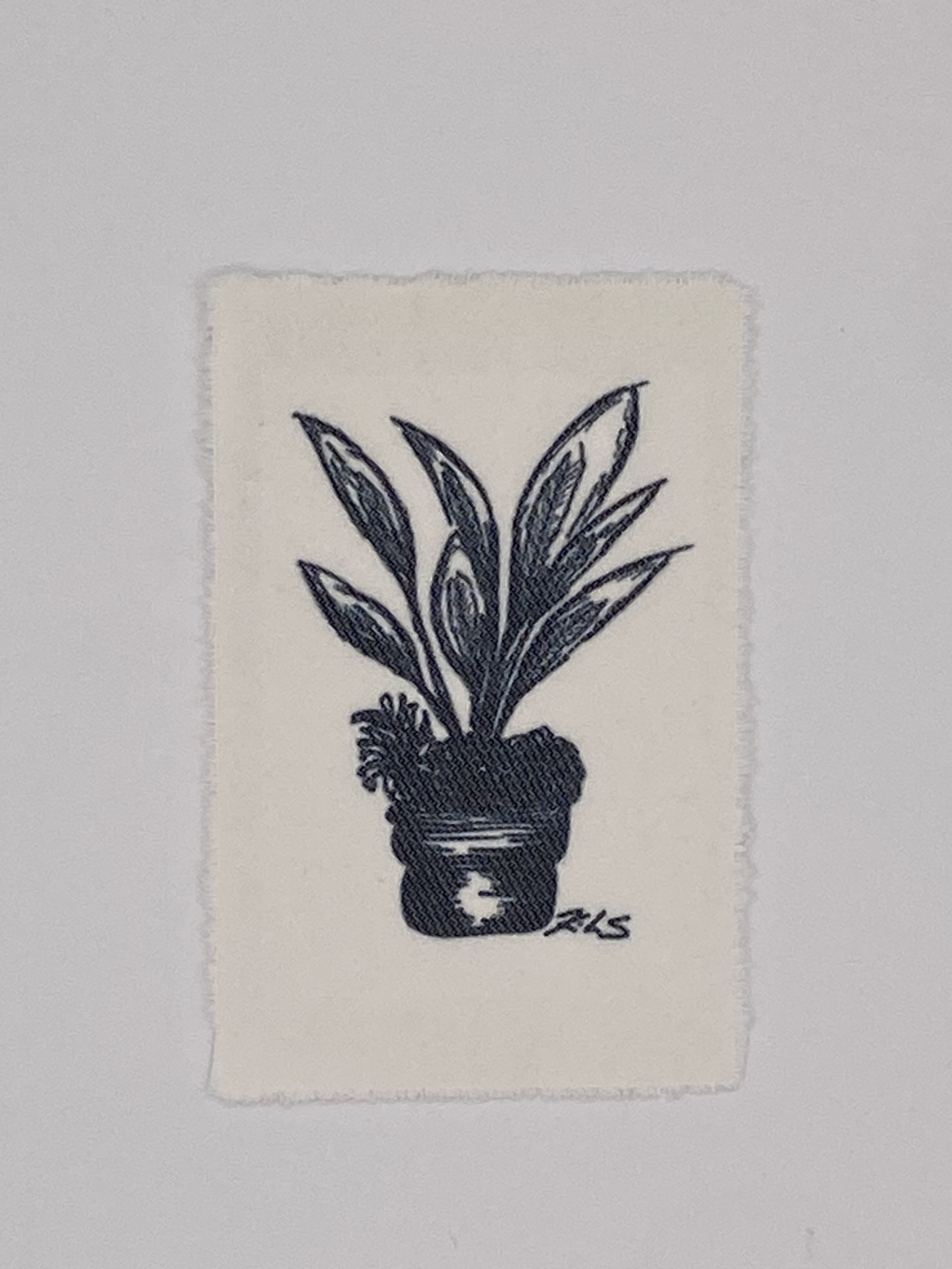 Chinese Evergreen Fabric Patch