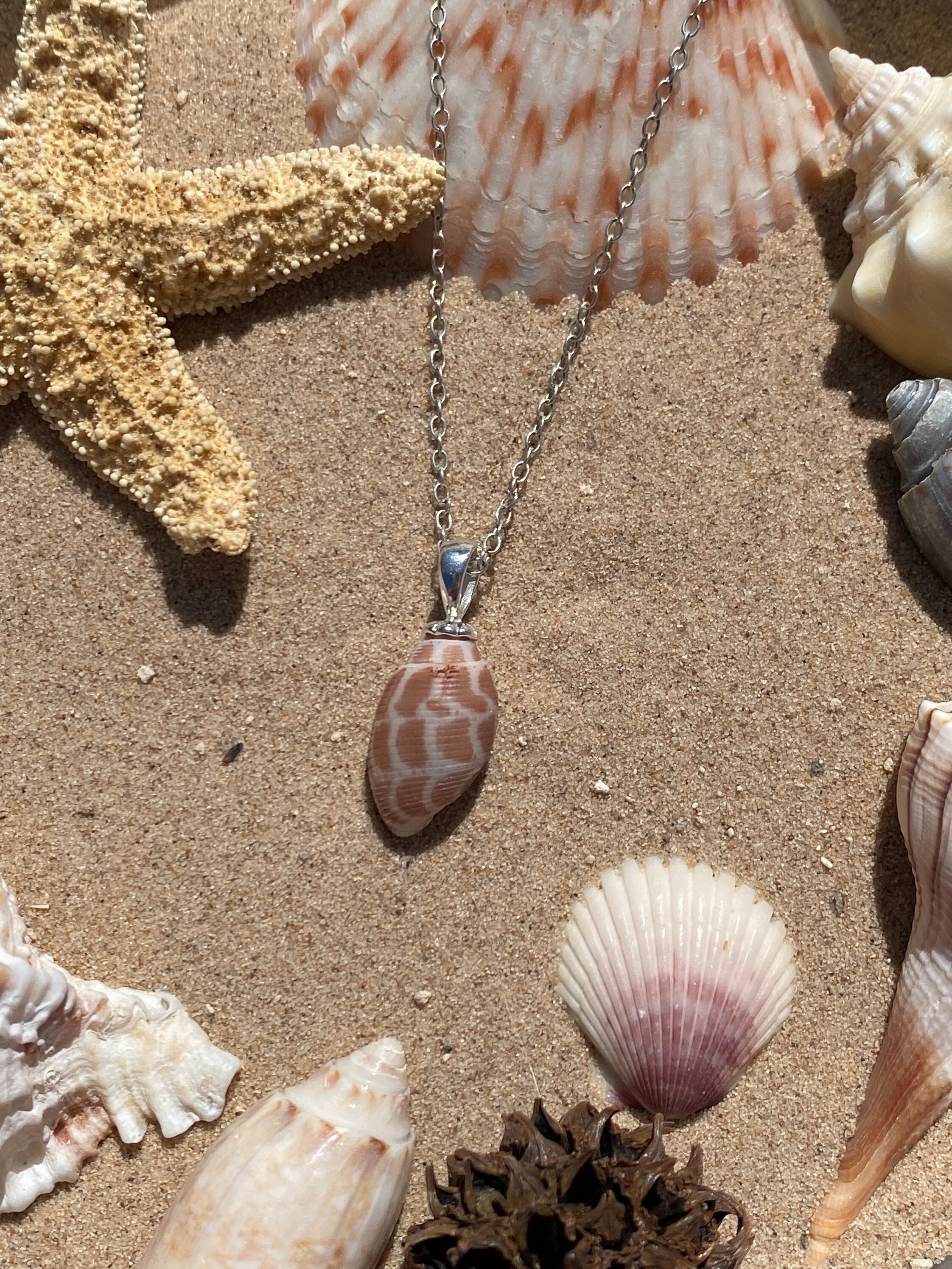 Jewelry :: Necklaces :: Pendant Necklaces :: Barrel Bubble Seashell Pendant  Necklace