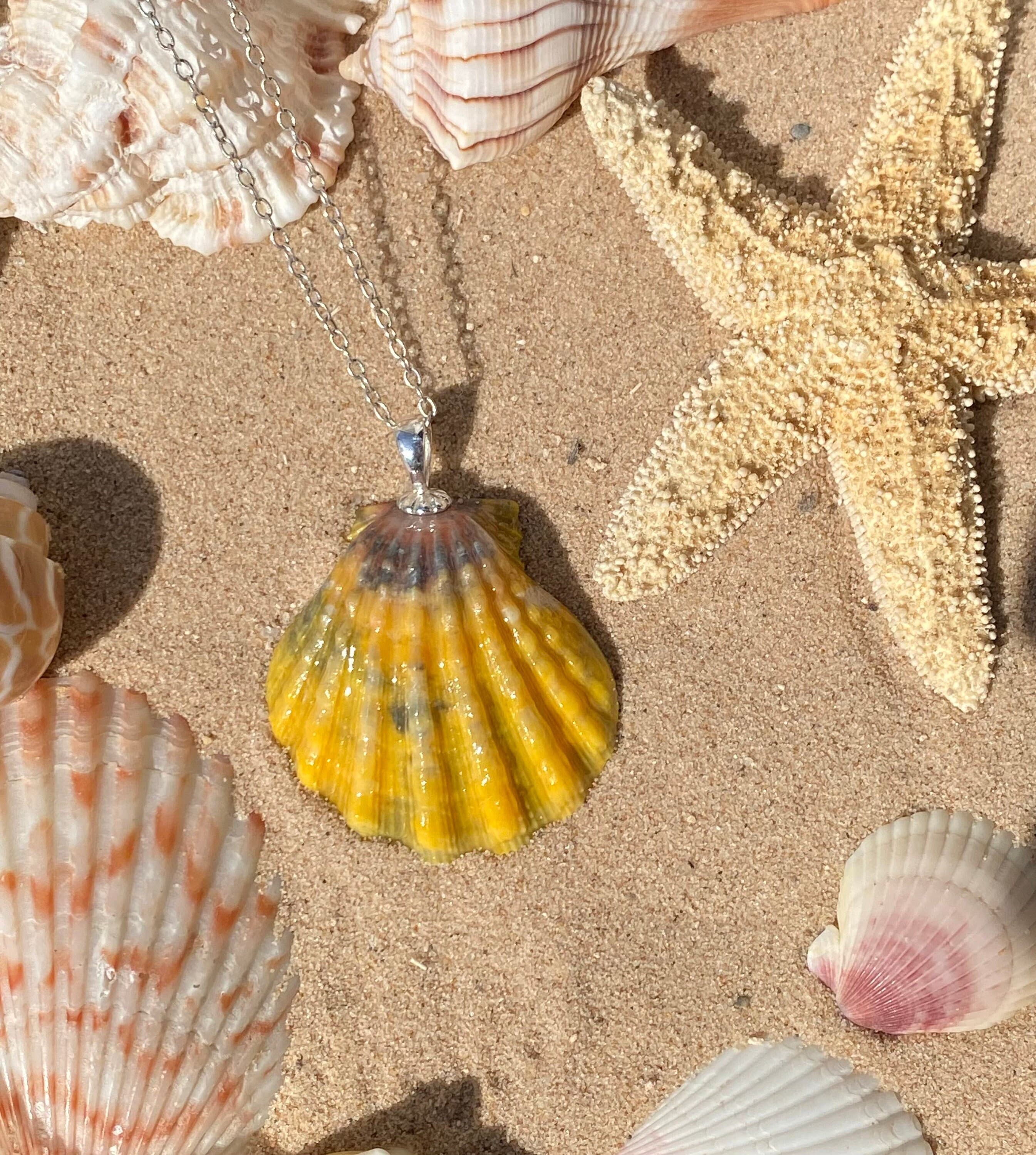 Pink/Yellow/Orange Hawaiian Sunrise Scallop Seashell