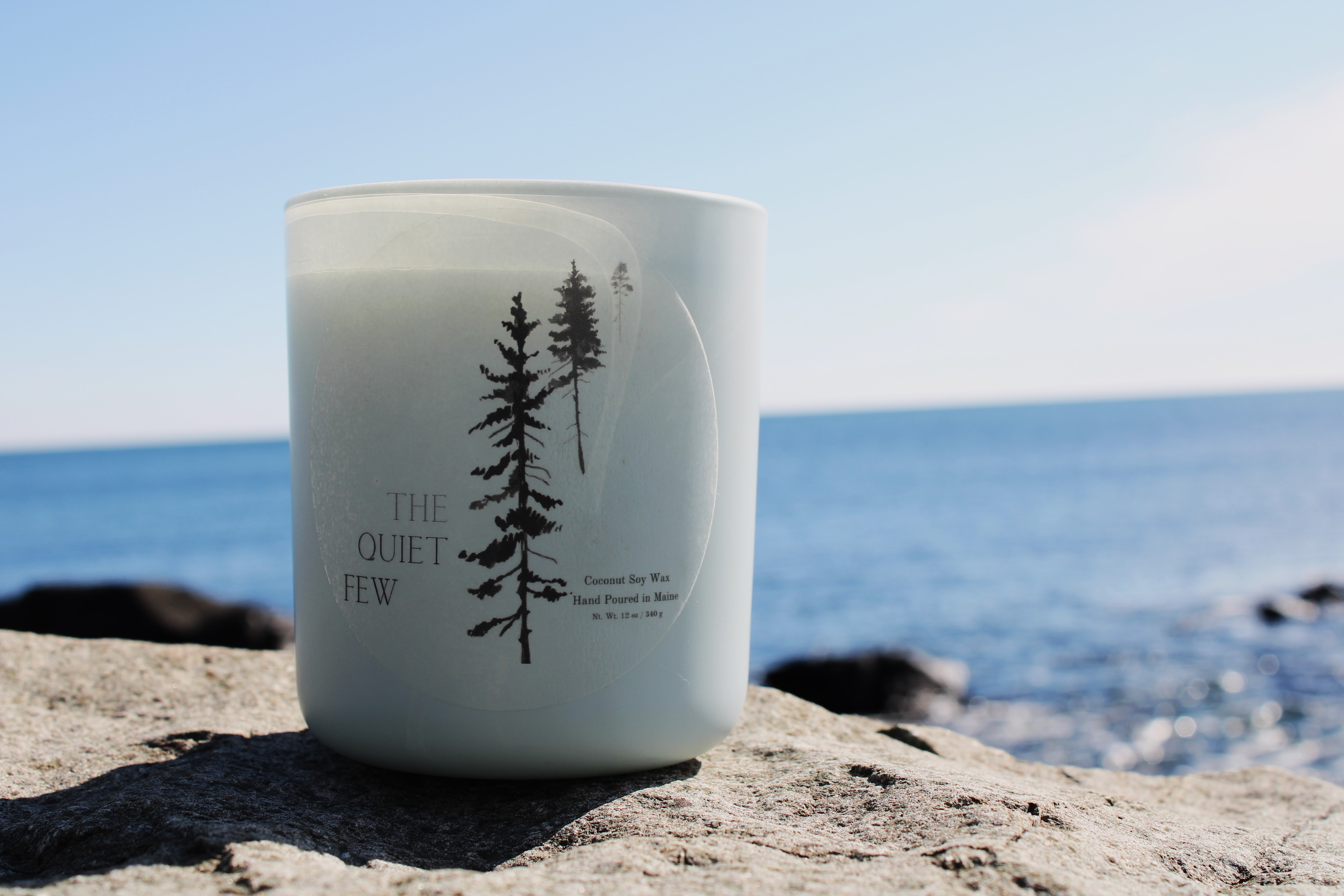Ocean & Sea Salt 12 oz scented candle