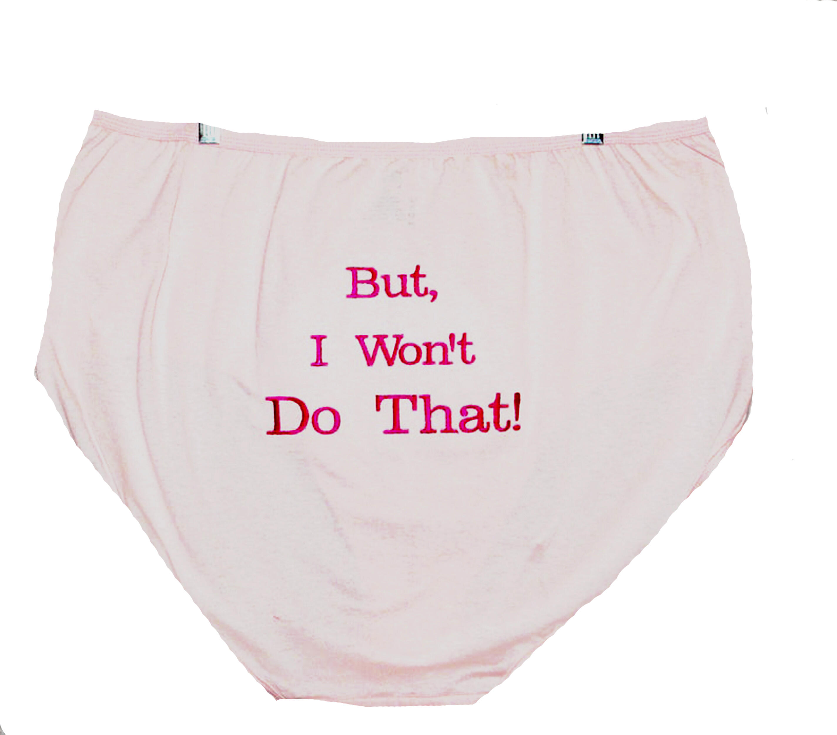 Granny Panties, Won't Do That Panties, Funny Custom, Big Extra Large Size, Gag  Gift Exchange, For Lover, Wife, Girlfriend, Ships AGFT 002