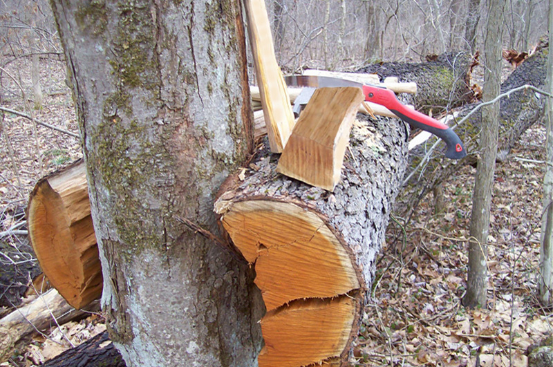 cherrytree woodworking cherrytree woodworking