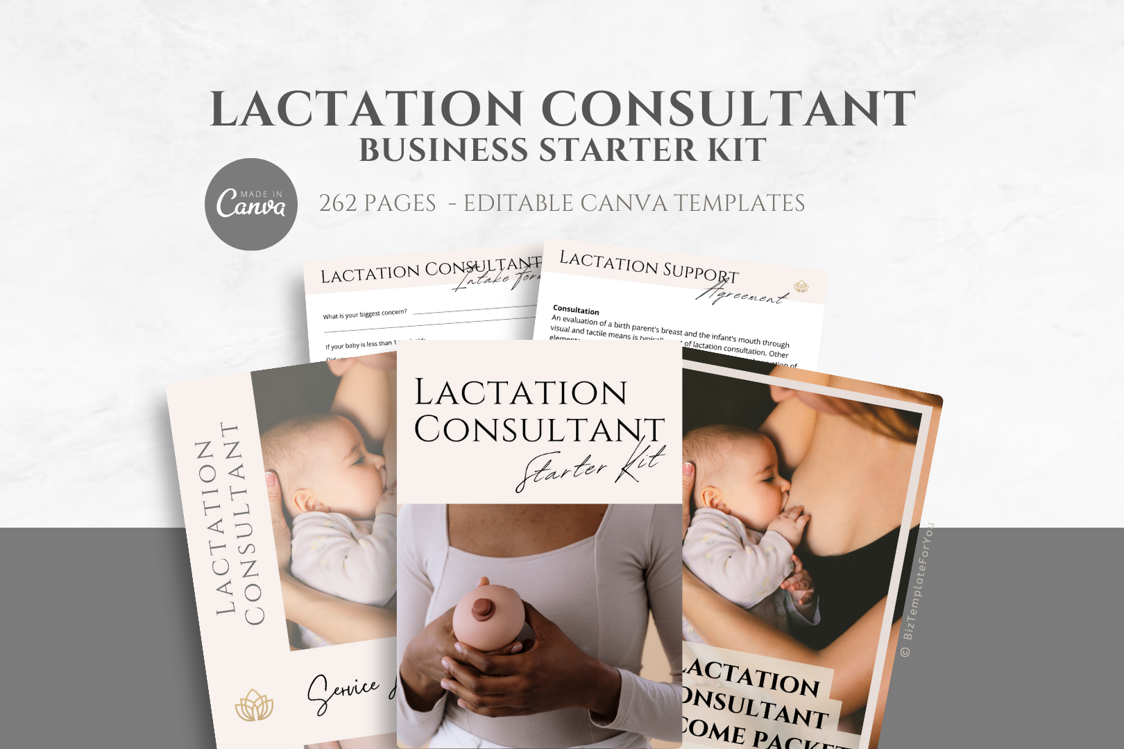 lactation consultant business plan