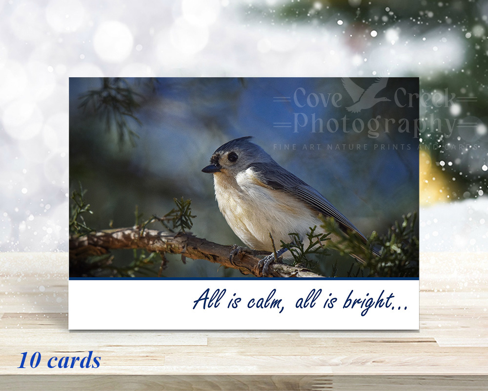 Holiday & Seasonal :: Christmas :: Handmade Christmas Cards - Nature 