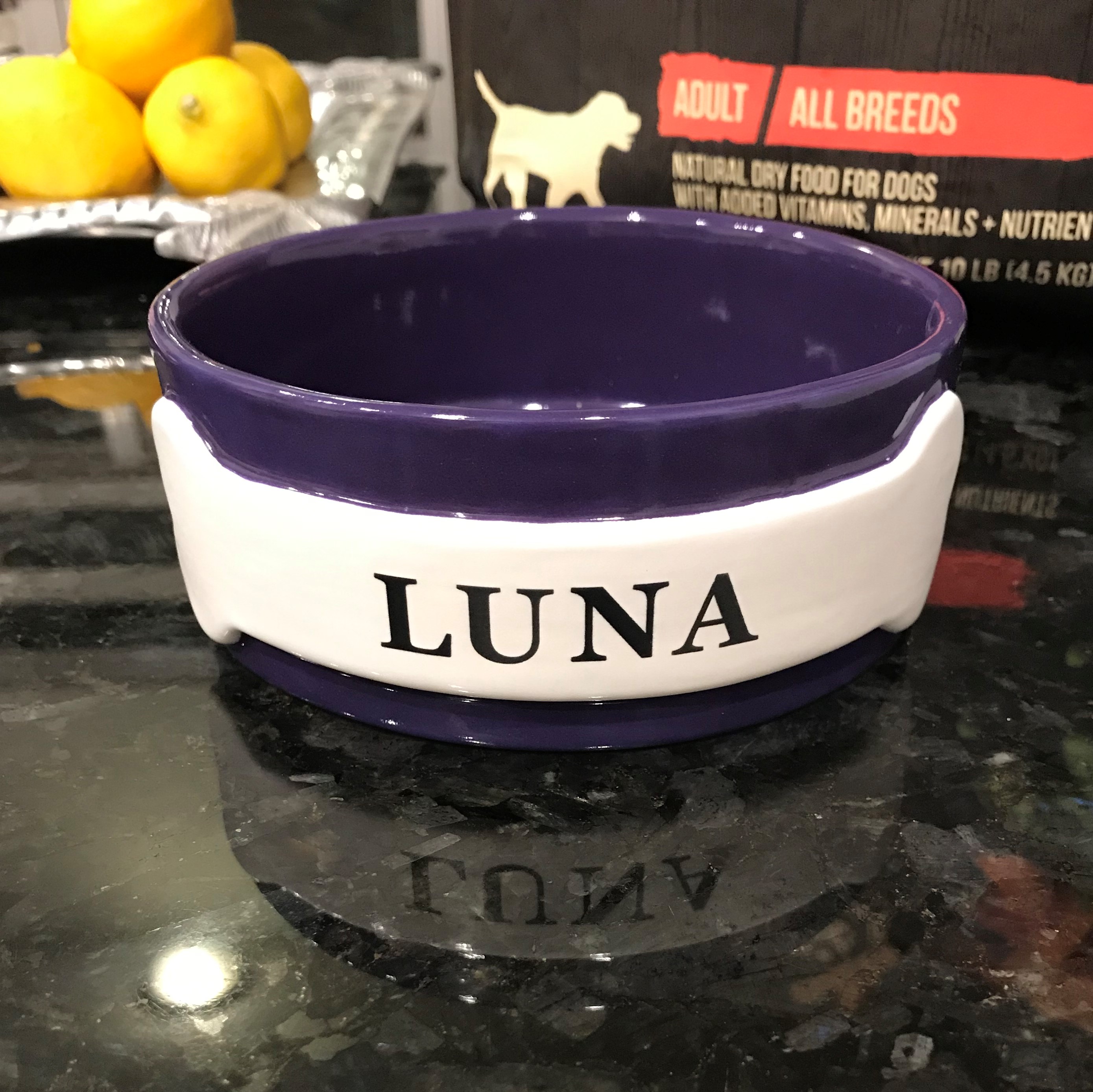 Personalized Purple Stoneware Dog Bowl