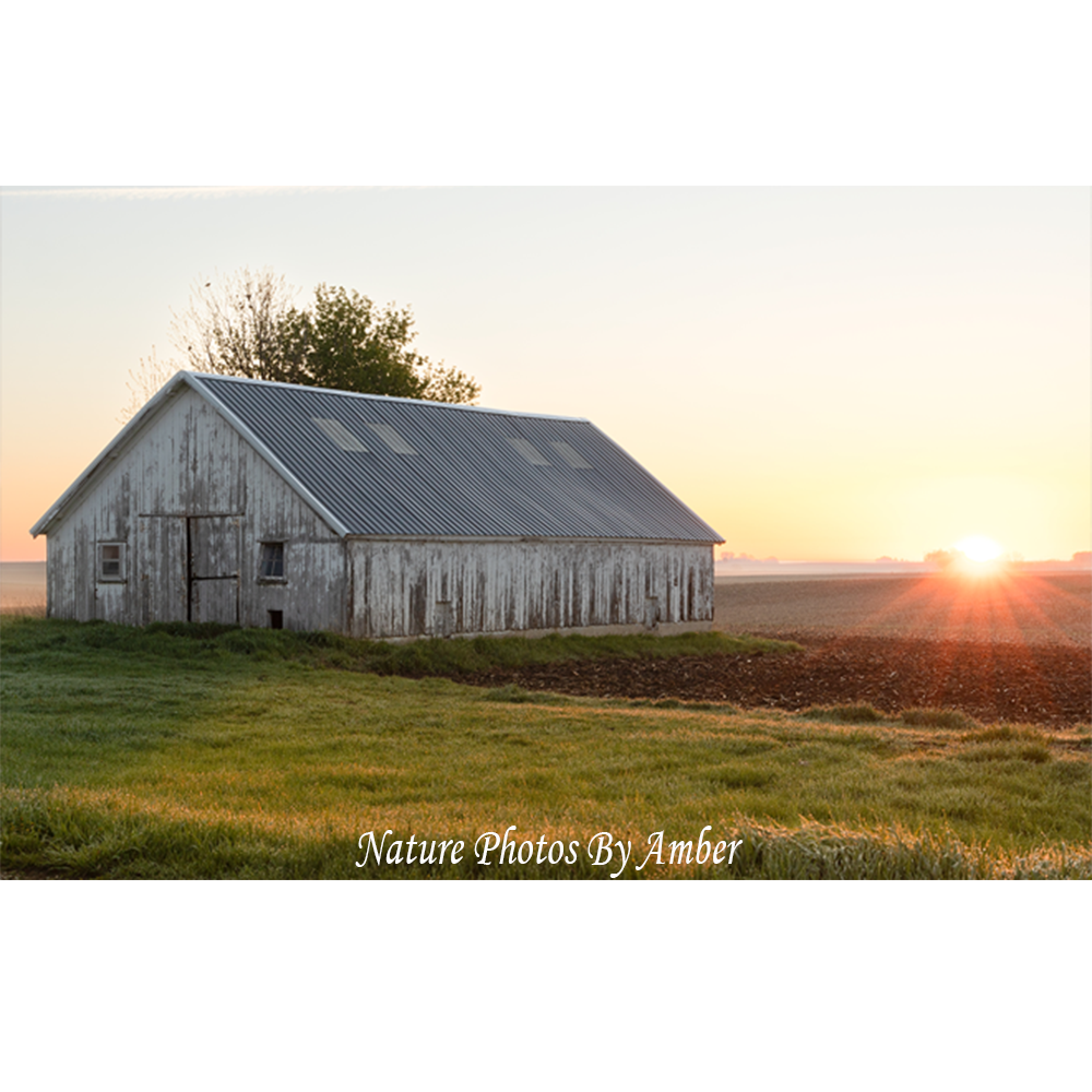 Art & Collectibles :: Photography :: Midwest Barn Fine Art Print ...