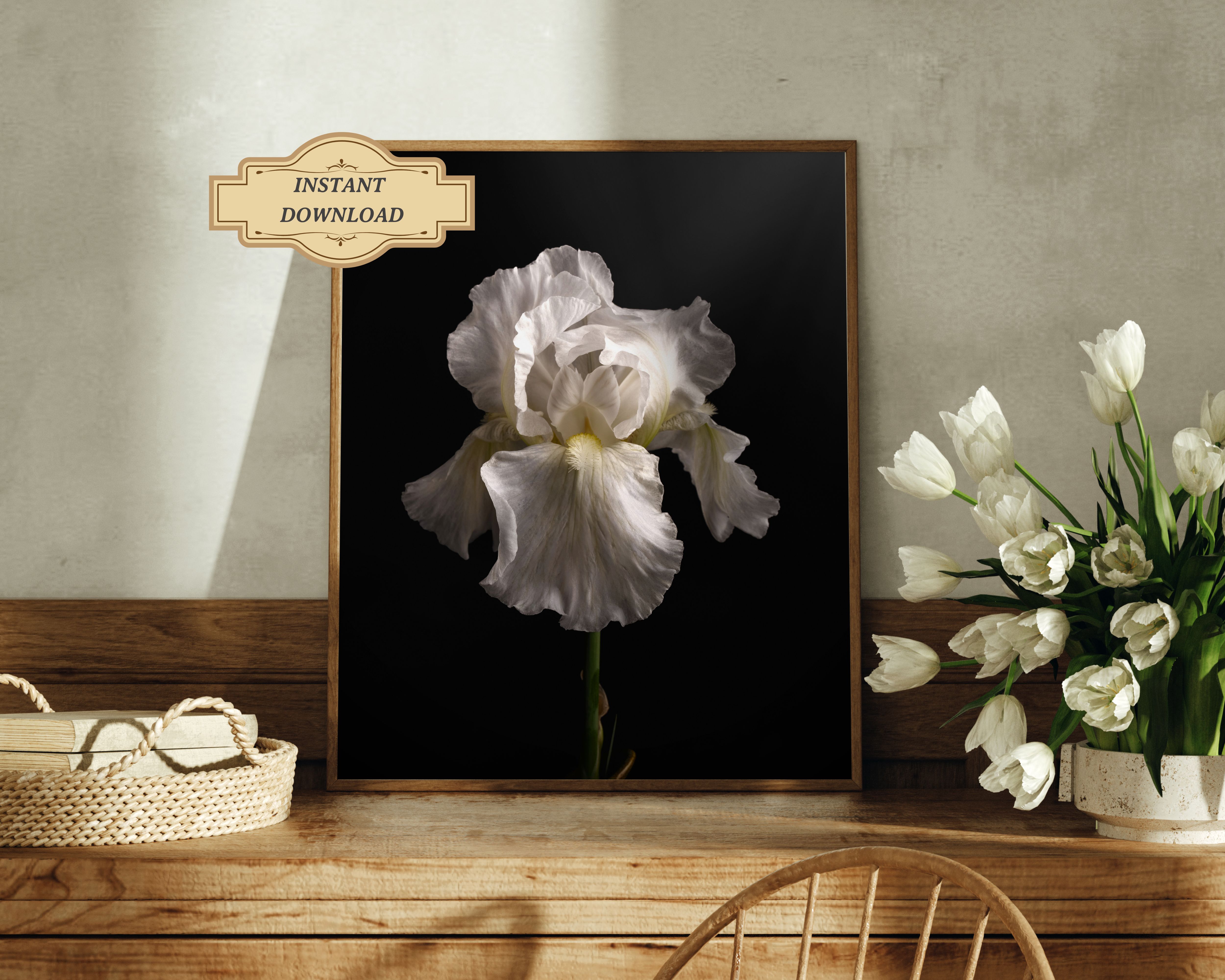 Fine Art & Collectibles :: Photography :: Immortality Iris, 8x10 ...