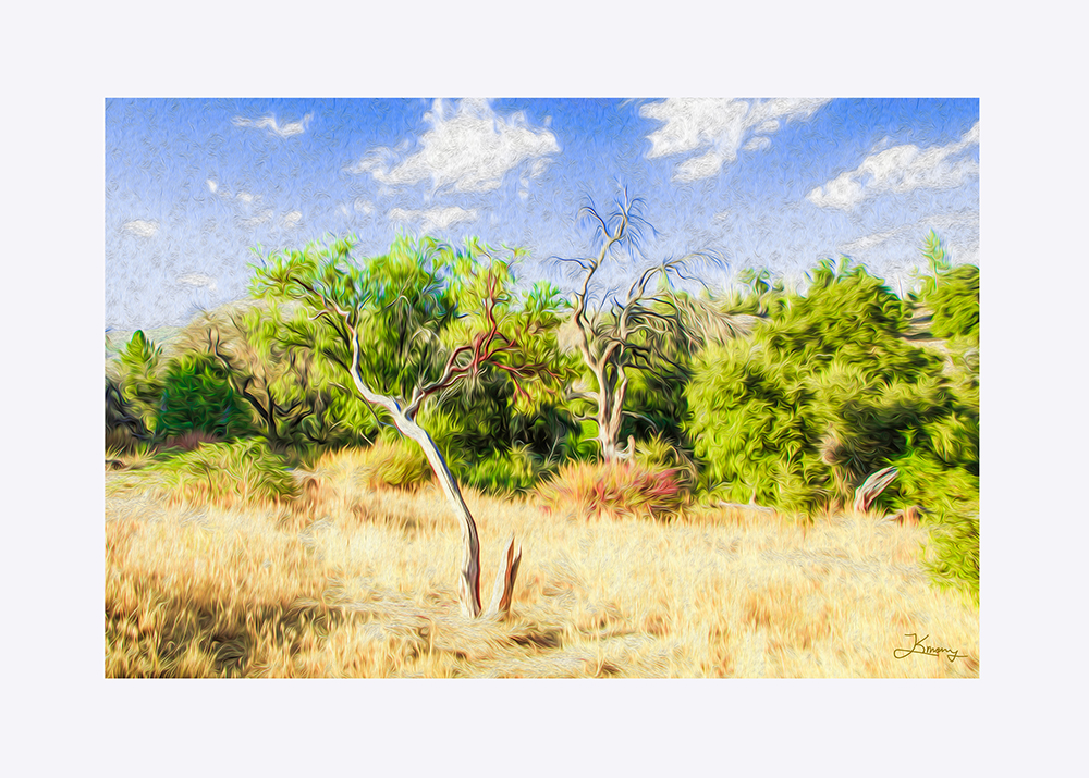 Home & Living Wall Decor Wall Art "A Place of Serenity 2