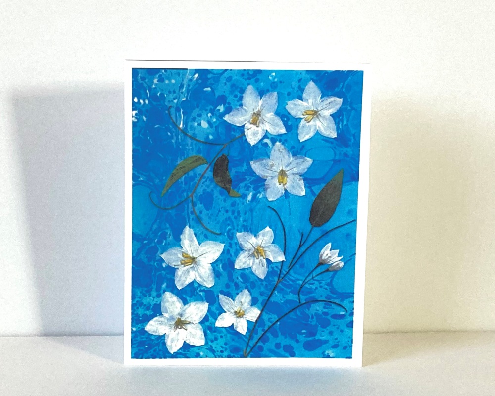 Pressed flower note card, white potato vine