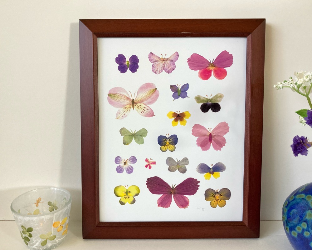 Butterflies made with pressed flower petals. 8x10 print