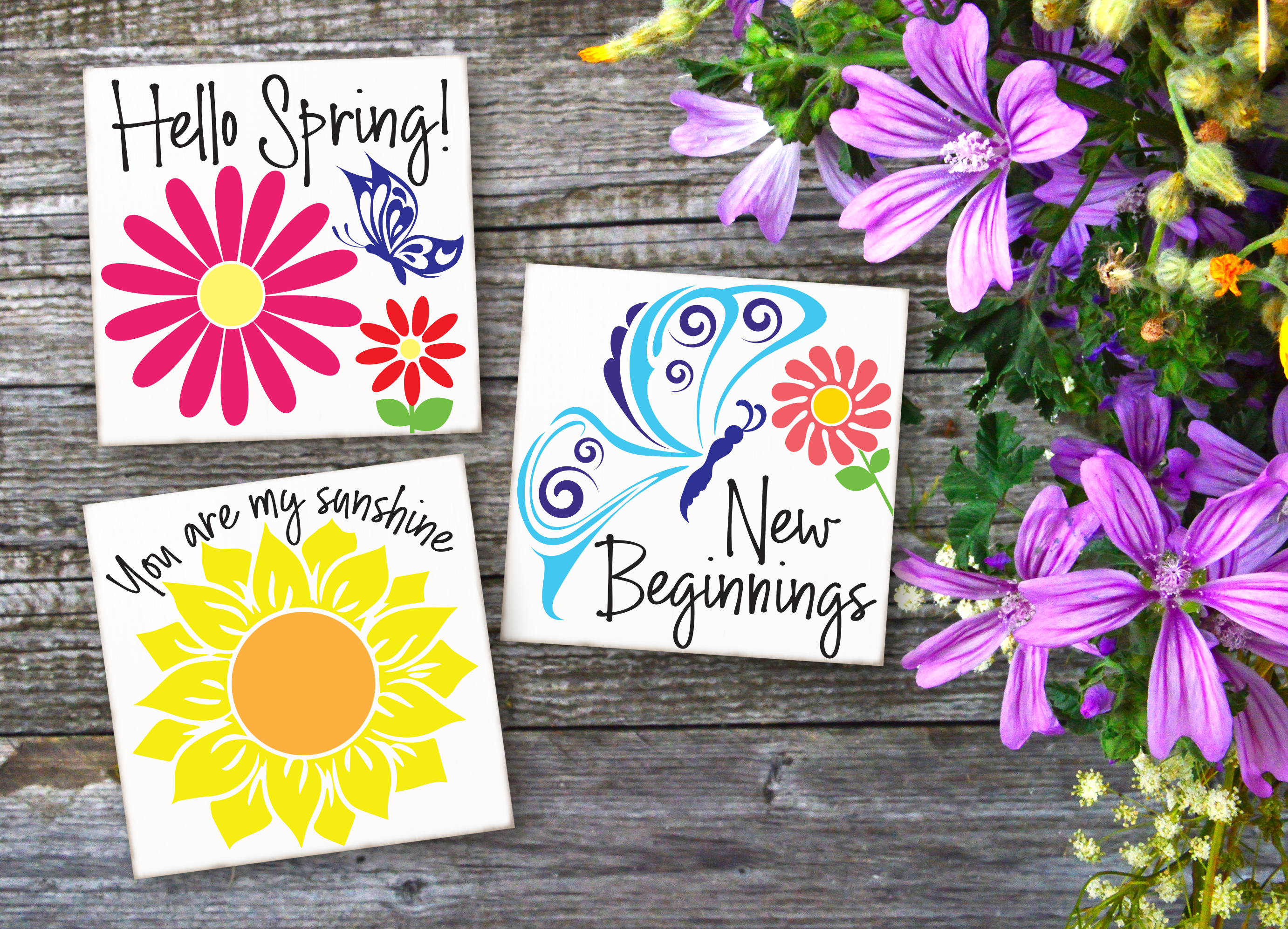 Colorful Spring Flower Signs, New Beginnings, Hello Spring, You Are My Sunshine
